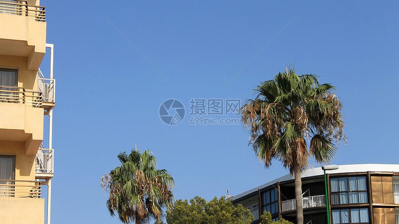 加盟一家旅游公司，资质等级到底看什么